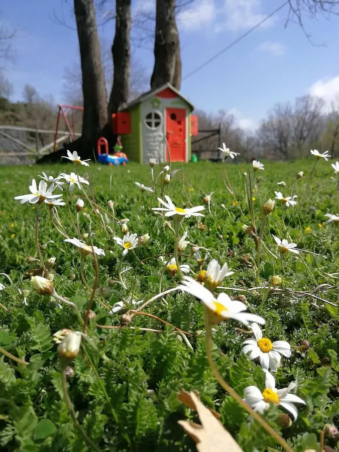 Farm stay Viola Nel Parco Villa Sant'Alfio